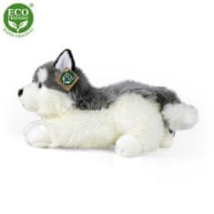 Rappa Plyšový pes husky ležící 30 cm ECO-FRIENDLY