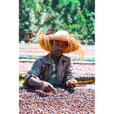 COFFEEDREAM Káva ETIOPIE SIDAMO BOMBE - Hmotnost: 1000g, Typ kávy: Jemné mletí - český turek, Způsob balení: běžný třívrstvý sáček, Stupeň pražení: pražení COFFEEDREAM