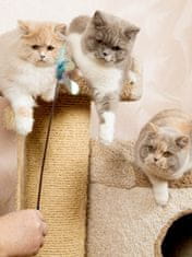 Japan Premium Udička pro kočky v podobě brouka s přírodním peřím a se stimulací tří instinktů lovce