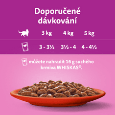 Whiskas kapsičky klasický výběr ve šťávě pro dospělé kočky 80 x 85 g