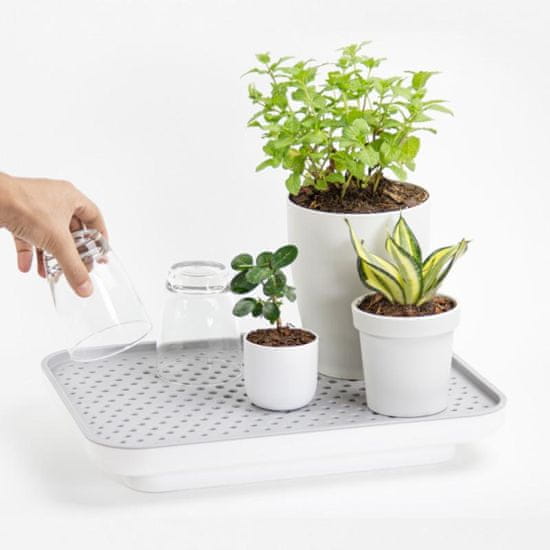 Qualy Design Zavlažovací/odkapávací podnos Oasis Tray 10309