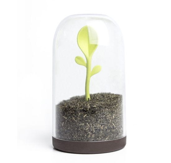 Qualy Design Dóza se lžičkou Sprout Jar 10205BN