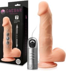 XSARA Vibrátor-buchar sex gadget s posuvným pohybem – 73995241